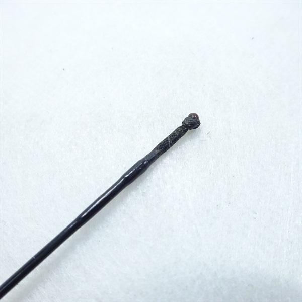 紀伊大納言９尺